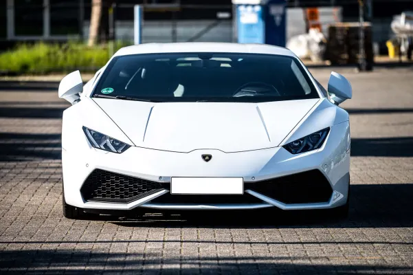 Casino Dogs Fortune Android/iOS-app